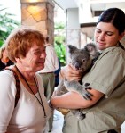 Amy greeted by a&nbsp;Koala