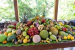 Edible Tropical Fruit from Botanical&nbsp;Ark