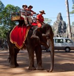 Elephant Ride
